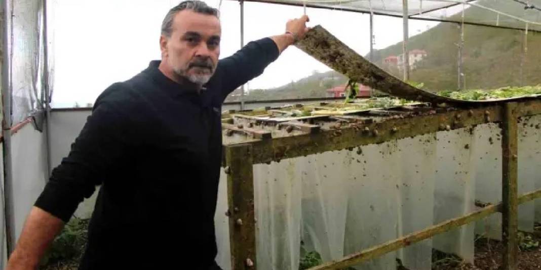 Trabzon’da üretiyor, dünya pazarında yok satıyor! İhracat potansiyeli hızla artıyor: 3 bin Euro’ya kapış kapış alıyorlar 3